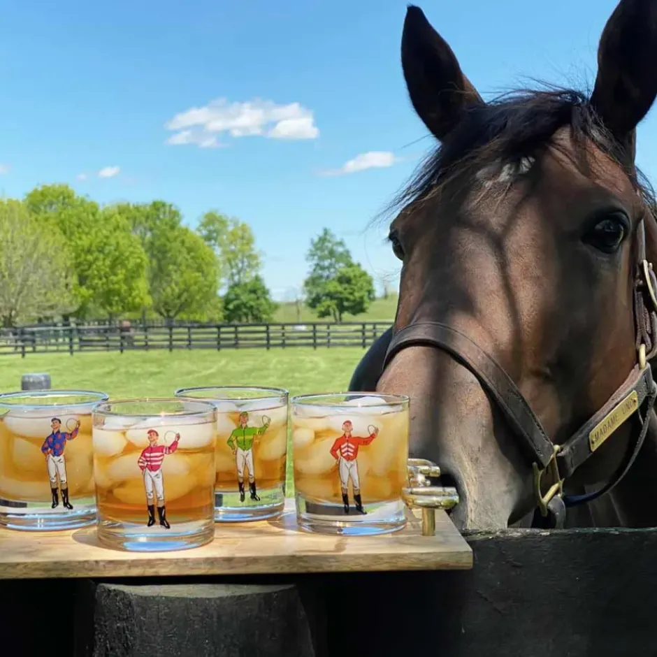Pomegranate Inc Classic Jockey Silks Bourbon Glass Mixed Set of 4^ Glassware & Barware