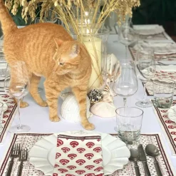 Pomegranate Inc India Hicks Carnations Napkins^ Napkins